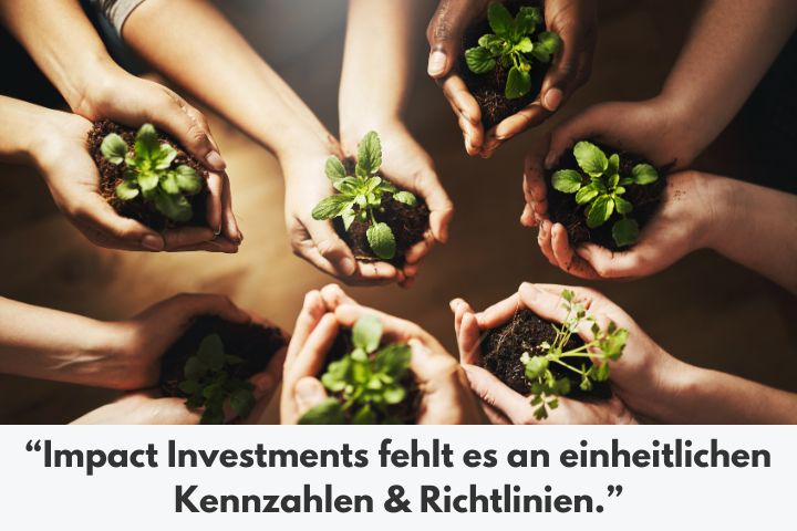 Impact Investments fehlt es an einheitlichen Kennzahlen